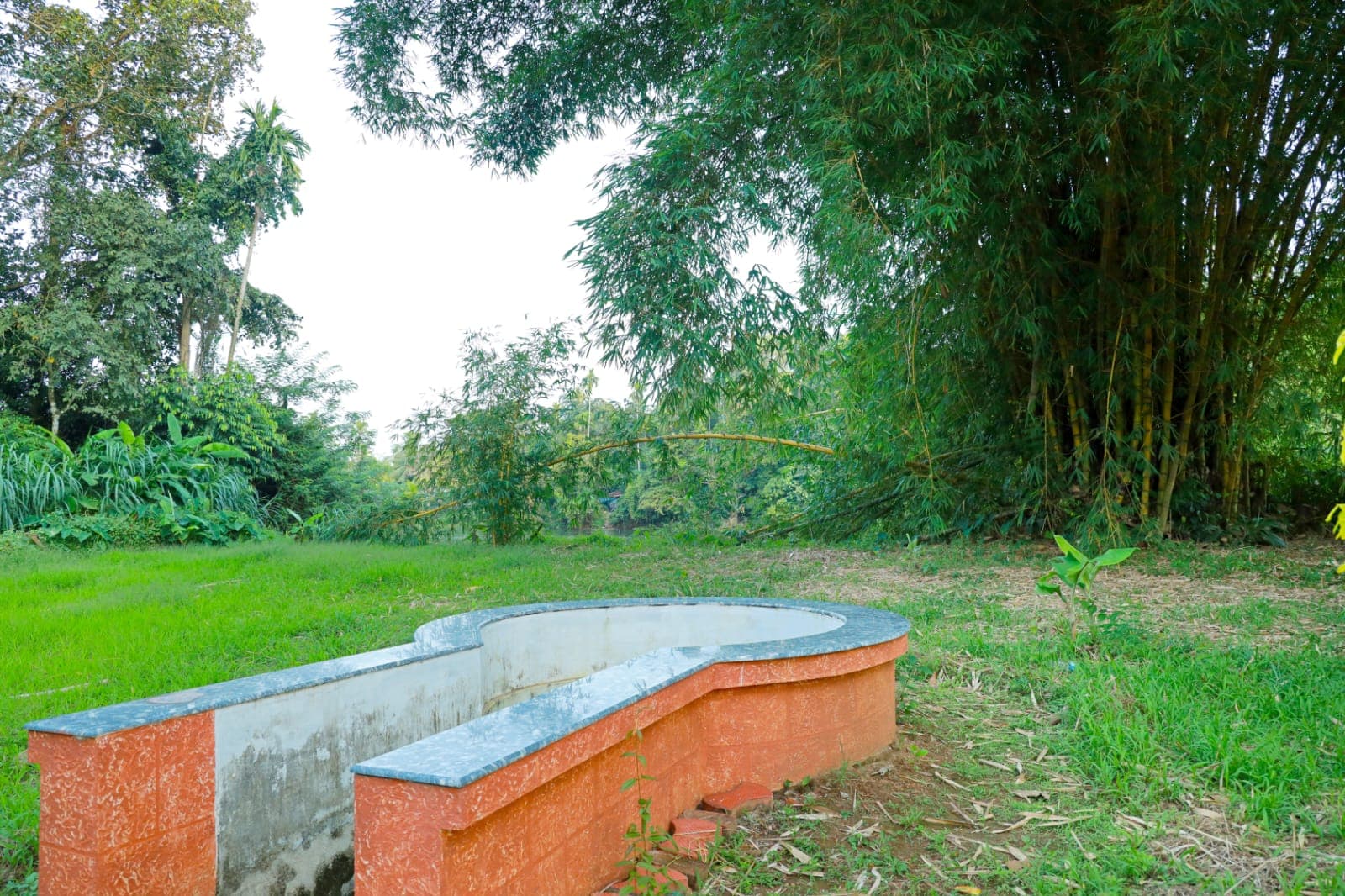 Curved garden seat on the lawn beneath bamboo
