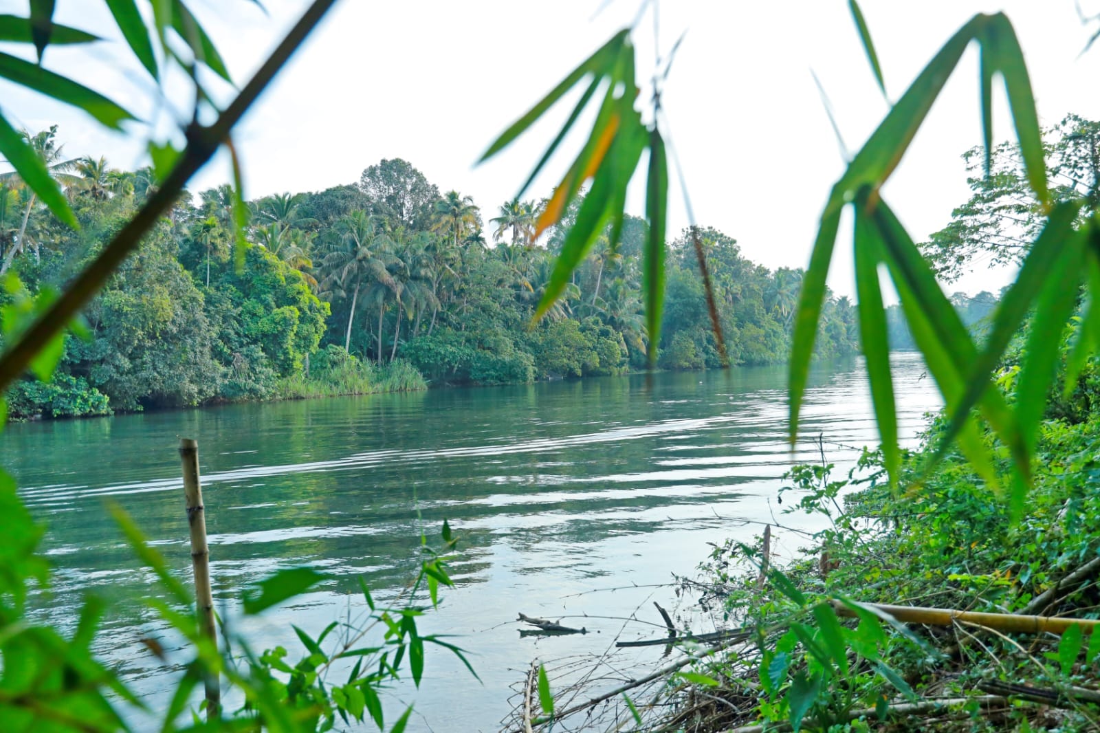 Morning light across the river beside the homestay